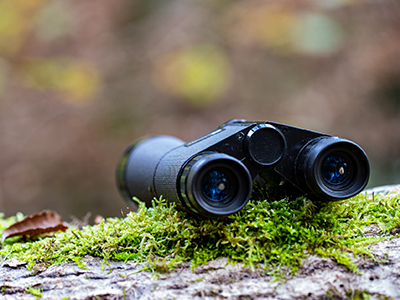 印西𠮷田地区-地域循環開発「スカリアの丘」自然観察