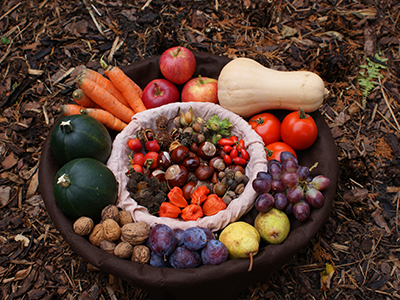 印西𠮷田地区-地域循環開発「スカリアの丘」野菜直売所